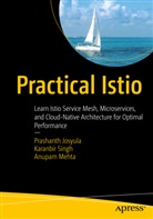 Prashanth Josyula, Prashanth L N C Josyula, Prashanth L.N.C. Josyula, An Mehta, Anupam Mehta, Karanbir Singh - Practical Istio