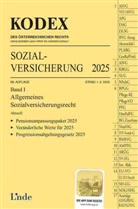 Daniela Böhm, Werner Doralt - KODEX Sozialversicherung 2025, Band I