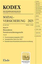 Daniela Böhm, Werner Doralt - KODEX Sozialversicherung 2025, Band II