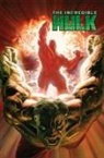 Jeph Loeb, Loeb Jeph, Ed McGuinness, McGuinness Ed - Hulk Modern Era Epic Collection: Code Red