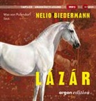 Nelio Biedermann, Max von Pufendorf - Lázár, 1 Audio-CD, 1 MP3 (Audio book)