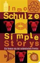 Ingo Schulze - Simple Storys