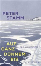 Peter Stamm - Auf ganz dünnem Eis