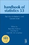 Statistics in Industry and Government: Volume 53