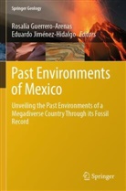 Rosalía Guerrero-Arenas, Jiménez-Hidalgo, Eduardo Jiménez-Hidalgo - Past Environments of Mexico