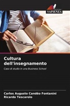 Carlos Augusto Candêo Fontanini, Ricardo Tescarolo - Cultura dell'insegnamento