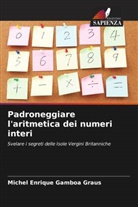 Michel Enrique Gamboa Graus - Padroneggiare l'aritmetica dei numeri interi