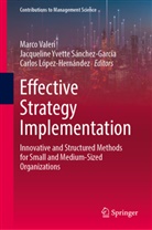 López-Hernández, Carlos López-Hernández, Jacqueline Yvette Sánchez-García, Marco Valeri, Jacqueline Yvette Sánchez-García - Effective Strategy Implementation