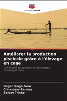 Chiranjeev Pandey, Gagan Singh Guru, Sanjay Thiske - Améliorer la production piscicole grâce à l'élevage en cage