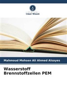 Mahmoud Mohsen Ali Ahmed Alsayes - Wasserstoff Brennstoffzellen PEM
