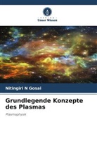 NITINGIRI N GOSAI - Grundlegende Konzepte des Plasmas