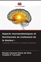 Renato Canevari Dutra da Silva, Vergílio P. Carvalho - Aspects neuroanatomiques et fonctionnels du traitement de la douleur :