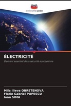 Mila Ilieva Obretenova, Florin Gabriel Popescu, Ioan SIMA - ÉLECTRICITÉ