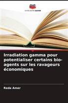 Reda Amer - Irradiation gamma pour potentialiser certains bio-agents sur les ravageurs économiques