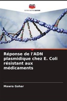 Mawra Gohar - Réponse de l'ADN plasmidique chez E. Coli résistant aux médicaments