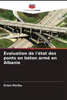 Erion Periku - Évaluation de l'état des ponts en béton armé en Albanie