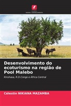 Célestin Nikiana Mazamba - Desenvolvimento do ecoturismo na região de Pool Malebo