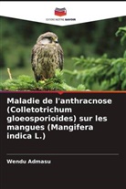 Wendu Admasu - Maladie de l'anthracnose (Colletotrichum gloeosporioides) sur les mangues (Mangifera indica L.)