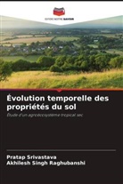 Akhilesh Singh Raghubanshi, Pratap Srivastava - Évolution temporelle des propriétés du sol