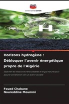 Foued Chabane, Noureddine Moummi - Horizons hydrogène : Débloquer l'avenir énergétique propre de l'Algérie