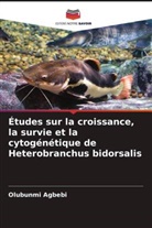 Olubunmi Agbebi - Études sur la croissance, la survie et la cytogénétique de Heterobranchus bidorsalis