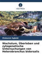 Olubunmi Agbebi - Wachstum, Überleben und zytogenetische Untersuchungen von Heterobranchus bidorsalis