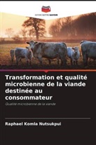Raphael Komla Nutsukpui - Transformation et qualité microbienne de la viande destinée au consommateur