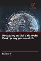 Nandini K - Podstawy nauki o danych: Praktyczny przewodnik