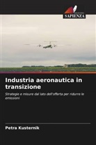 Petra Kusternik - Industria aeronautica in transizione