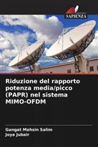 Joya Jubair, Gangat Mohsin Salim - Riduzione del rapporto potenza media/picco (PAPR) nel sistema MIMO-OFDM