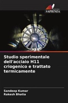 Rakesh Bhatia, Sandeep Kumar - Studio sperimentale dell'acciaio H11 criogenico e trattato termicamente