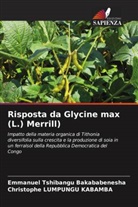 Christophe LUMPUNGU KABAMBA, Emmanuel TSHIBANGU BAKABABENESHA - Risposta da Glycine max (L.) Merrill)