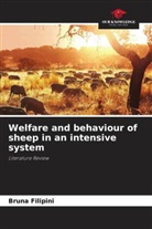 Bruna Filipini - Welfare and behaviour of sheep in an intensive system