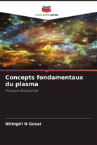NITINGIRI N GOSAI - Concepts fondamentaux du plasma
