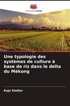 Kajo Stelter - Une typologie des systèmes de culture à base de riz dans le delta du Mékong
