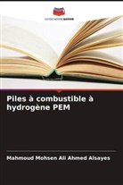 Mahmoud Mohsen Ali Ahmed Alsayes - Piles à combustible à hydrogène PEM