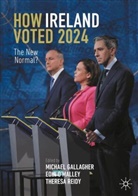Michael Gallagher, Eoin O'Malley, Theresa Reidy - How Ireland Voted 2024