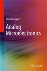 Mattia Borgarino - Analog Microelectronics