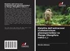Wendu Admasu - Malattia dell'antracnosi (Colletotrichum gloeosporioides) su Mango (Mangifera indica L.)