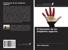 Delia Majongwe - El bienestar de las shaghalas egipcias
