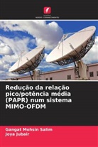 Joya Jubair, Gangat Mohsin Salim - Redução da relação pico/potência média (PAPR) num sistema MIMO-OFDM