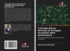 Gilbert Kofi Adarkwah - Il Gruppo Banca Africana di Sviluppo: Un'analisi della performance