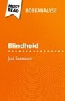 Danny Dejonghe - Blindheid van José Saramago (Boekanalyse)