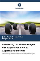 Magda Molfi, Jo&atilde;o Paulo Souza Siilva - Bewertung der Auswirkungen der Zugabe von BMP zu Asphaltbindemitteln