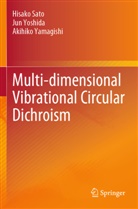 Hisako Sato, Akihiko Yamagishi, Jun Yoshida - Multi-dimensional Vibrational Circular Dichroism