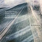 Arve Henriksen, Anders u a Jormin, Trygve Seim - Arcanum (Audio book)