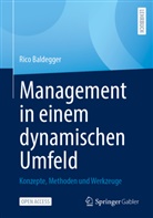 Rico Baldegger - Management in einem dynamischen Umfeld