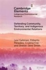 Cristina Coc, Levi Gahman, Filiberto Penados, Shelda-Jane Smith - Defending Community, Territory, and Indigenous Environmental Relations