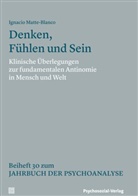 Ignacio Matte-Blanco - Denken, Fühlen und Sein