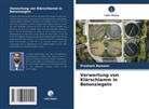 Prashant Bamane - Verwertung von Klärschlamm in Betonziegeln